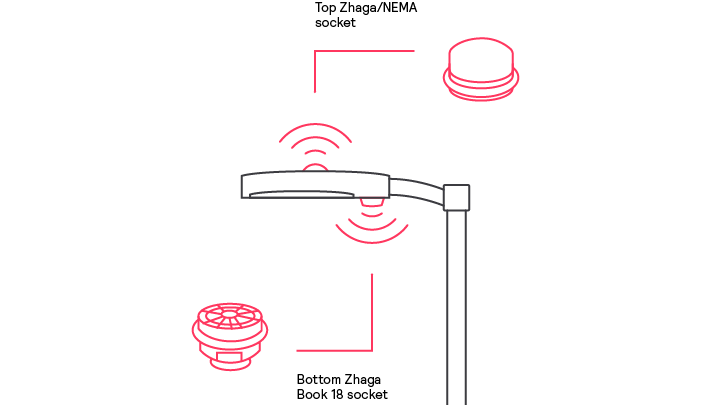  安装在路灯上的 Zhaga 插座插图